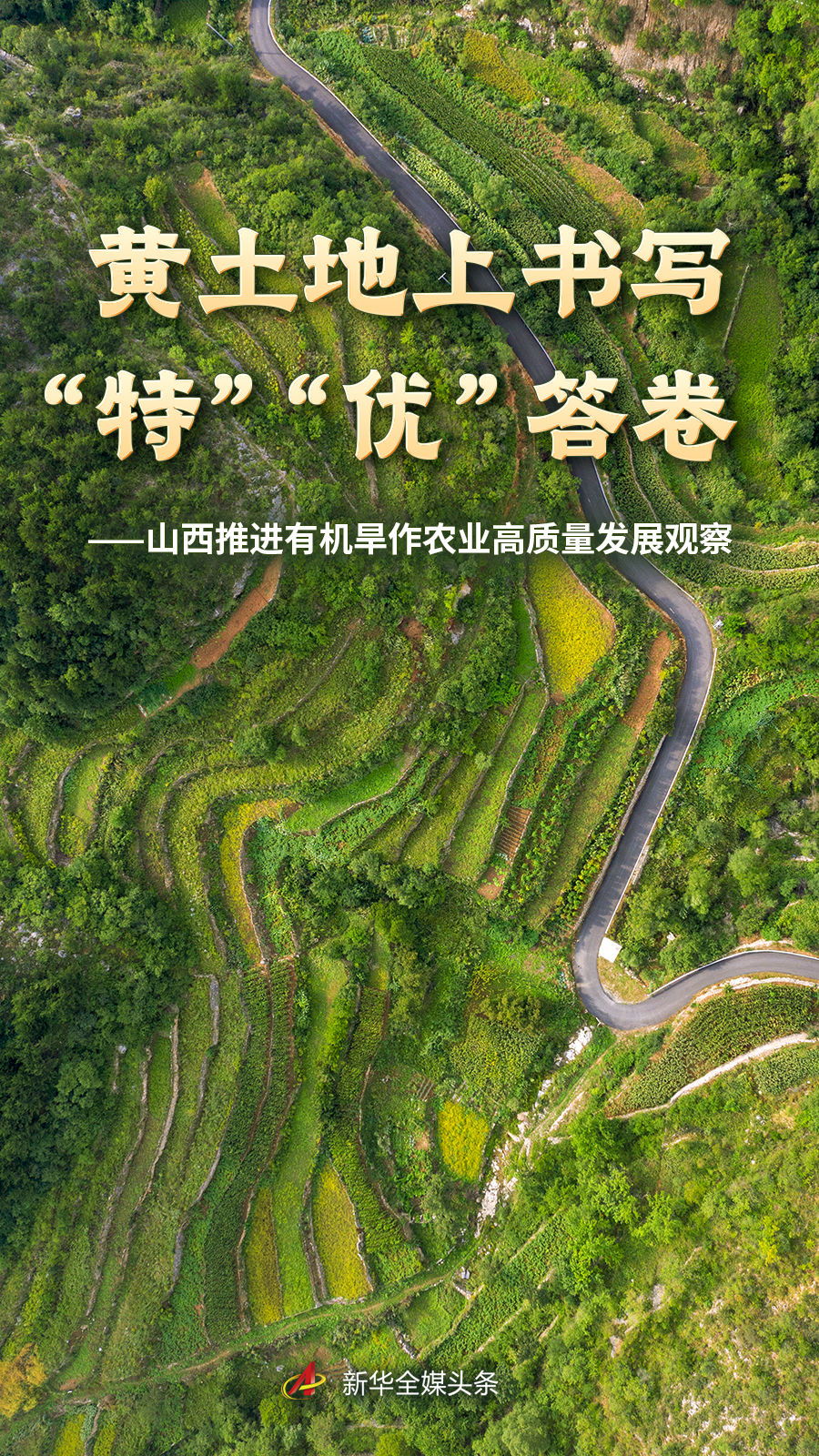 aiyouxi